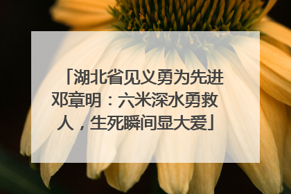 湖北省见义勇为先进邓章明：六米深水勇救人，生死瞬间显大爱