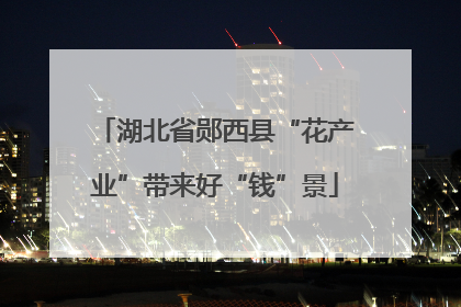 湖北省郧西县“花产业”带来好“钱”景