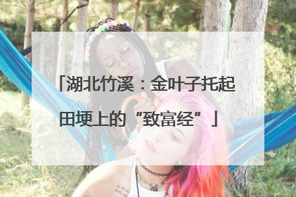 湖北竹溪：金叶子托起田埂上的“致富经”