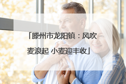 滕州市龙阳镇：风吹麦浪起 小麦迎丰收
