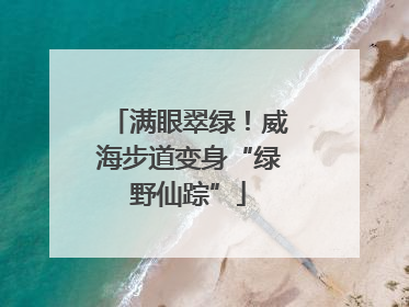 满眼翠绿！威海步道变身“绿野仙踪”