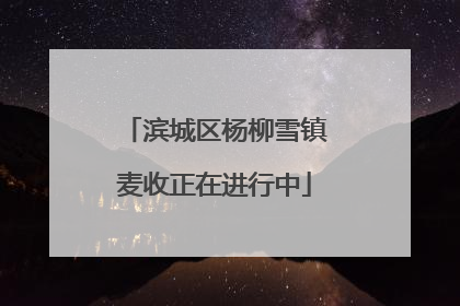 滨城区杨柳雪镇麦收正在进行中