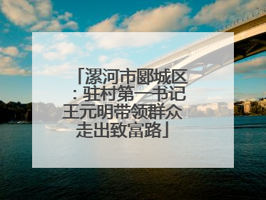 漯河市郾城区：驻村第一书记王元明带领群众走出致富路