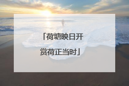 荷塘映日开 赏荷正当时