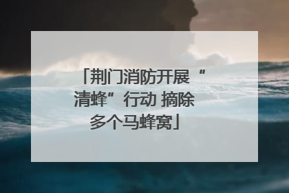 荆门消防开展“清蜂”行动 摘除多个马蜂窝