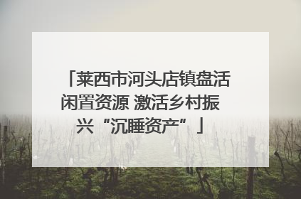 莱西市河头店镇盘活闲置资源 激活乡村振兴“沉睡资产”