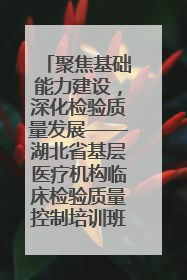 聚焦基础能力建设，深化检验质量发展——湖北省基层医疗机构临床检验质量控制培训班（孝感站）成功举办