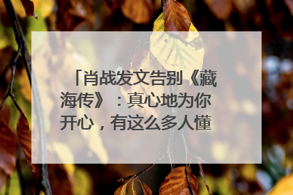 肖战发文告别《藏海传》：真心地为你开心，有这么多人懂你，导演回应“是否有第二季”