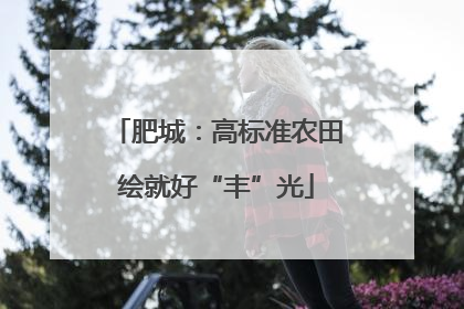 肥城：高标准农田绘就好“丰”光