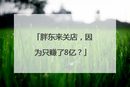 胖东来关店，因为只赚了8亿？