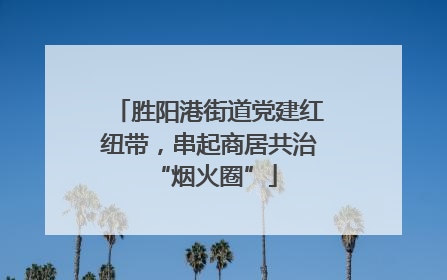 胜阳港街道党建红纽带，串起商居共治 “烟火圈”