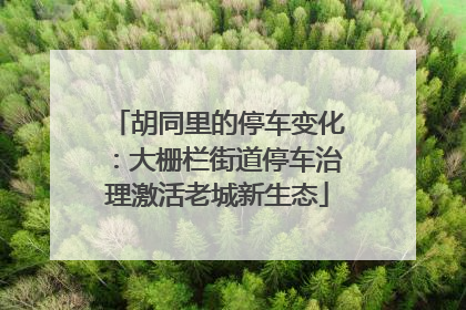 胡同里的停车变化：大栅栏街道停车治理激活老城新生态