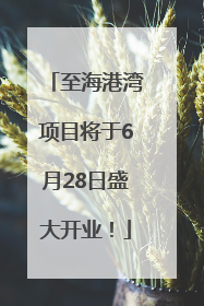 至海港湾项目将于6月28日盛大开业！