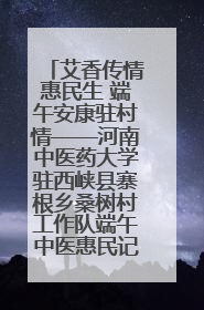 艾香传情惠民生 端午安康驻村情——河南中医药大学驻西峡县寨根乡桑树村工作队端午中医惠民记