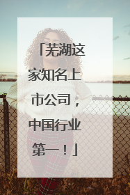 芜湖这家知名上市公司，中国行业第一！
