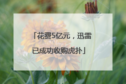 花费5亿元，迅雷已成功收购虎扑