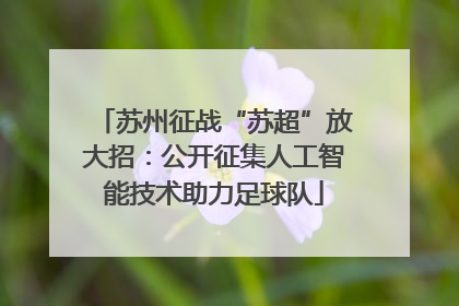 苏州征战“苏超”放大招：公开征集人工智能技术助力足球队