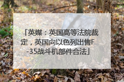 英媒：英国高等法院裁定，英国向以色列出售F-35战斗机部件合法
