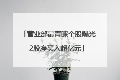 营业部最青睐个股曝光 2股净买入超亿元
