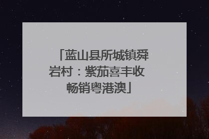 蓝山县所城镇舜岩村：紫茄喜丰收 畅销粤港澳