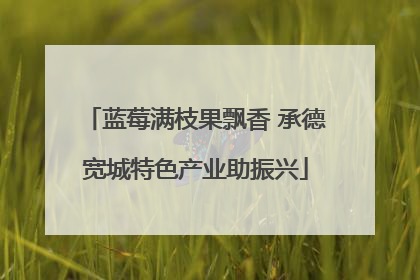 蓝莓满枝果飘香 承德宽城特色产业助振兴