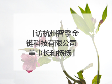 访杭州智擎金链科技有限公司董事长和扬扬