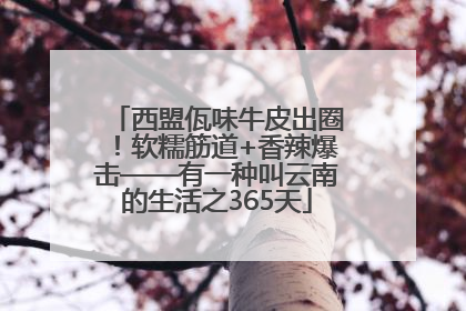 西盟佤味牛皮出圈！软糯筋道+香辣爆击——有一种叫云南的生活之365天