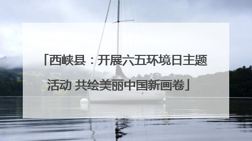西峡县：开展六五环境日主题活动 共绘美丽中国新画卷