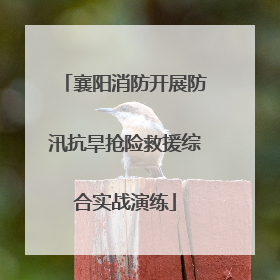 襄阳消防开展防汛抗旱抢险救援综合实战演练