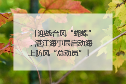 迎战台风“蝴蝶”，湛江海事局启动海上防风“总动员”