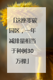 这座零碳园区，一年减排量相当于种树30万棵