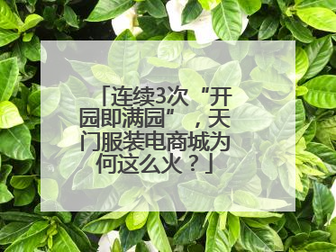 连续3次“开园即满园”，天门服装电商城为何这么火？