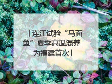 连江试验“马面鱼”夏季高温混养 为福建首次