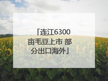 连江6300亩毛豆上市 部分出口海外