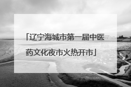 辽宁海城市第一届中医药文化夜市火热开市
