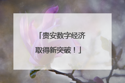 贵安数字经济取得新突破！