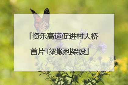 资乐高速促进村大桥首片T梁顺利架设