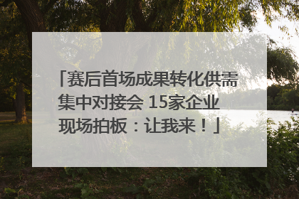 赛后首场成果转化供需集中对接会 15家企业现场拍板：让我来！