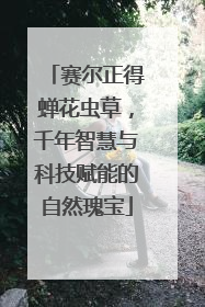 赛尔正得蝉花虫草，千年智慧与科技赋能的自然瑰宝