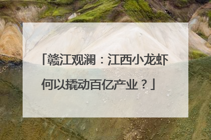 赣江观澜：江西小龙虾何以撬动百亿产业？