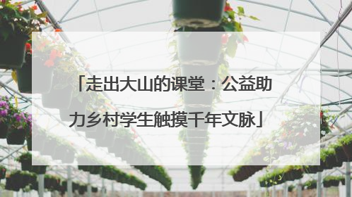 走出大山的课堂：公益助力乡村学生触摸千年文脉