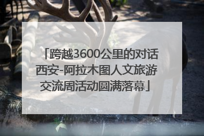 跨越3600公里的对话 西安-阿拉木图人文旅游交流周活动圆满落幕