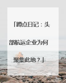 蹲点日记：头部航运企业为何聚集此地？