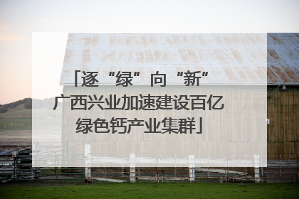 逐“绿”向“新” 广西兴业加速建设百亿绿色钙产业集群