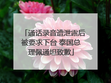 通话录音遭泄露后被要求下台 泰国总理佩通坦致歉