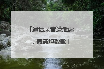 通话录音遭泄露，佩通坦致歉