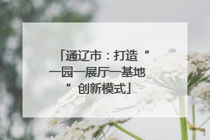 通辽市：打造“一园一展厅一基地”创新模式