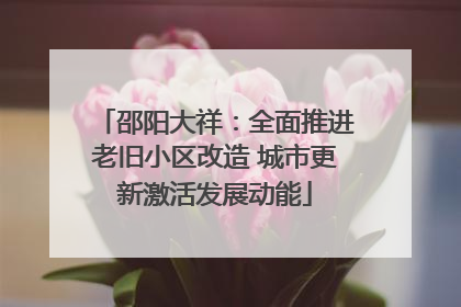 邵阳大祥：全面推进老旧小区改造 城市更新激活发展动能