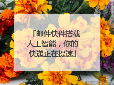 邮件快件搭载人工智能，你的快递正在提速