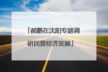 郝鹏在沈阳专题调研民营经济发展